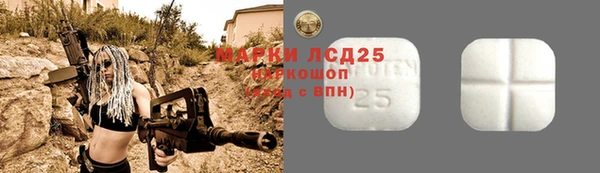 прущие крисы Надым