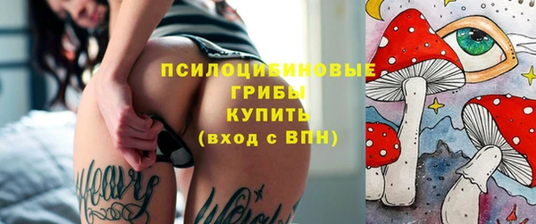 прущие крисы Надым
