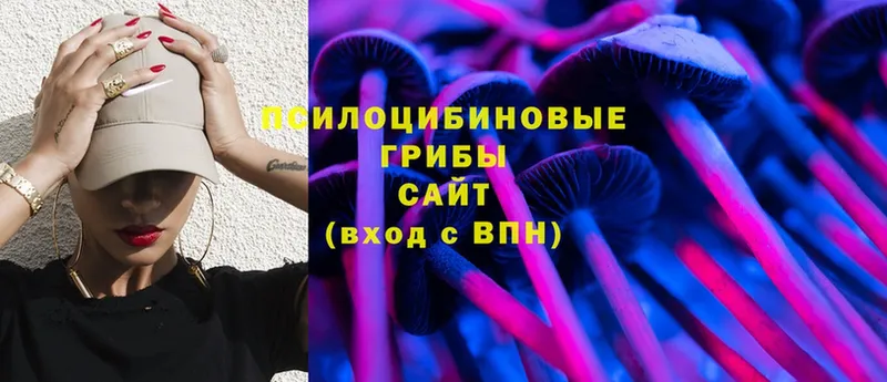 сколько стоит  Аткарск  Галлюциногенные грибы Cubensis 