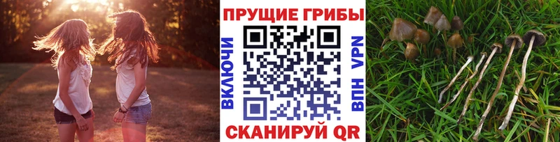 купить наркоту  Аткарск  гидра ссылка  Псилоцибиновые грибы ЛСД 